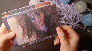 Пополнение Коллекции Таро в Январе