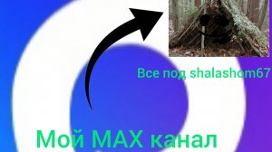 я создал свой MAX канал, ссылка в описании!