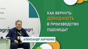 Как вернуть доходность в производство пшеницы? | Александр Харченко