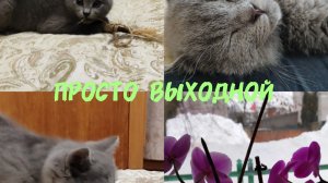 Наша радость#Просто выходной