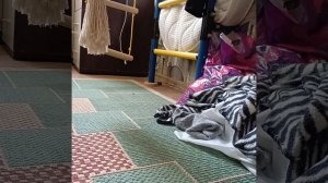 я и оператор