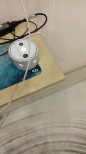 кукуккуккуу с алисой