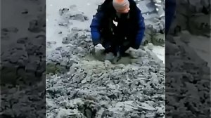 Если я правильно понимаю, вы хотите, чтобы я перефразировала данные фразы на русском языке. Здесь...