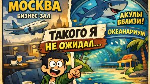 МОСКВА – СОЧИ ✈️ БИЗНЕС-ЗАЛ, ПЕРЕЛЁТ И ОКЕАНАРИУМ АДЛЕР 🦈 Что скрывает юг?