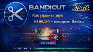 10. Как удалить звук из видео — "видеорезка" Bandicut.