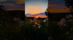 XakeR - "Душа так хочет тишины »