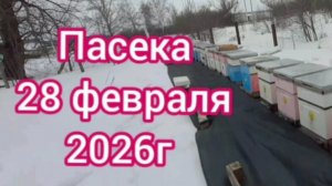 Пасека 28 февраля 2026г