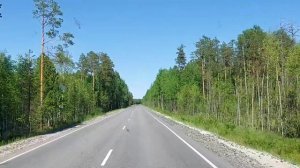 Дорога на Угут 
#север #болото