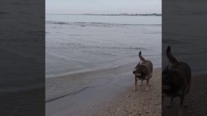 золотые слова👍👍👍