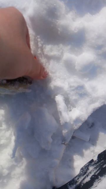 Ловля наваги на булер номер 1 от Mr. Musurok