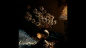 РомансТюльпаны