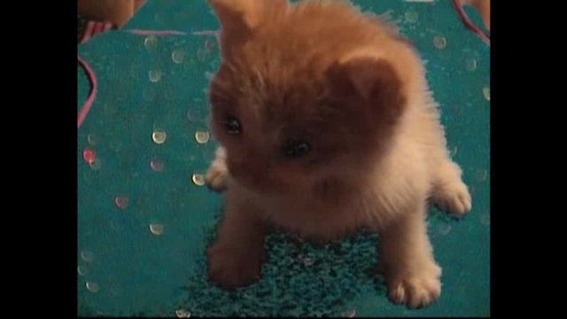 Поздравление с Днем Рождения.