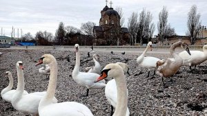 Звуки вечернего моря. Гармония и релакс вашей души. Крым 2026