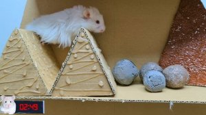 Лабиринт с пауками, хомяками и ловушками Coca Cola. Препятствия в «Истории о хомяках»