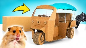 Машинка из картона для хомяка 🐹 Трёхколёсный DIY