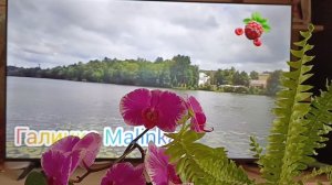 вишенка на торте, Галинка Малинка ,и Правдивая Наталья ЧТО Я О НИХ ДУМАЮ!! ДНО РУТУБА 😦