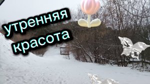 Сегодня утро началось так. Как у вас проходит утро