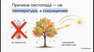 Биология 6 класс параграф 22 ВЫДЕЛЕНИЕ У РАСТЕНИЙ краткий пересказ Пасечник