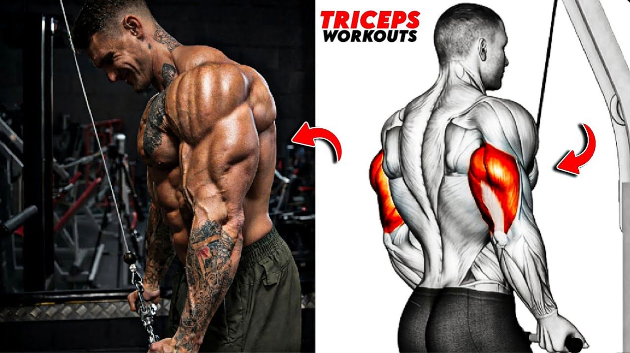 8 Лучших Упражнений На Трицепс В Зале Чтобы Построить Красивые И Рельефные Руки