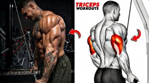 8 Лучших Упражнений На Трицепс В Зале Чтобы Построить Красивые И Рельефные Руки