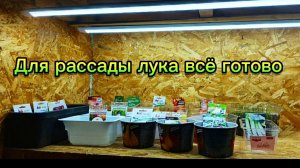 Оптимальные условия для рассады лука.Прохладно и светло.