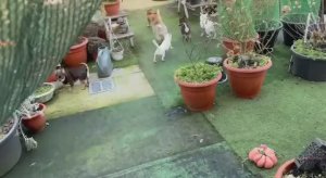 Все дружно побежали на прогулку.