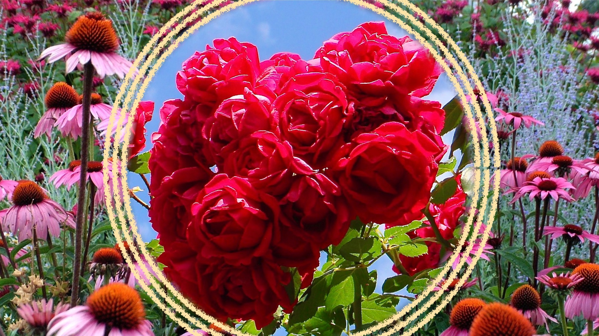 Красивый красный или яркие акценты в саду.