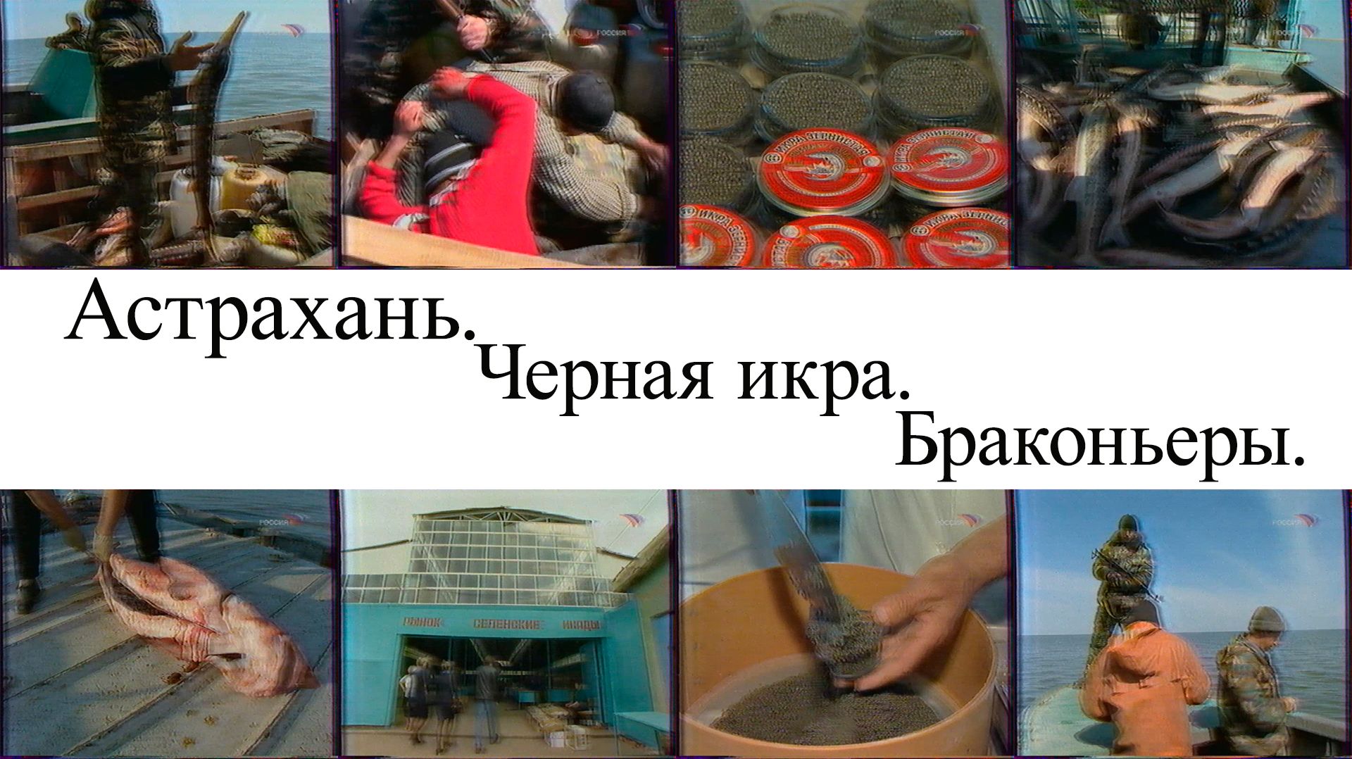 Астрахань. Черная икра. Браконьеры.