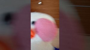 ВЛОГ С МИЛКОЙ ??? У БАБУШКИ