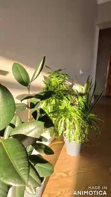 Видео Эльмаш