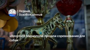 «Апорт»! В Мариуполе прошли соревнования для собак. 02.03.2026
