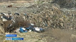 Власти Железноводска нарушили природоохранное законодательство