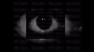 SVID_20260302_122845_1.mp4