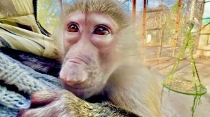 Я была ОЧЕНЬ УДИВЛЕНА что Маня наотрез отказалась звать Тосю чтобы я ее согрела и забрала домой…