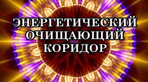 ЭНЕРГЕТИЧЕСКИЙ ОЧИЩАЮЩИЙ КОРИДОР. Эта энергия очищает планету от накопленного энергетического мусора