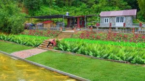 Собираю урожай шпината на продажу. Заливаю фундамент,чтобы укрепить берега пруда. Серия 39.Ли Фук Ви