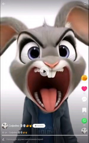 мишалошарик :3