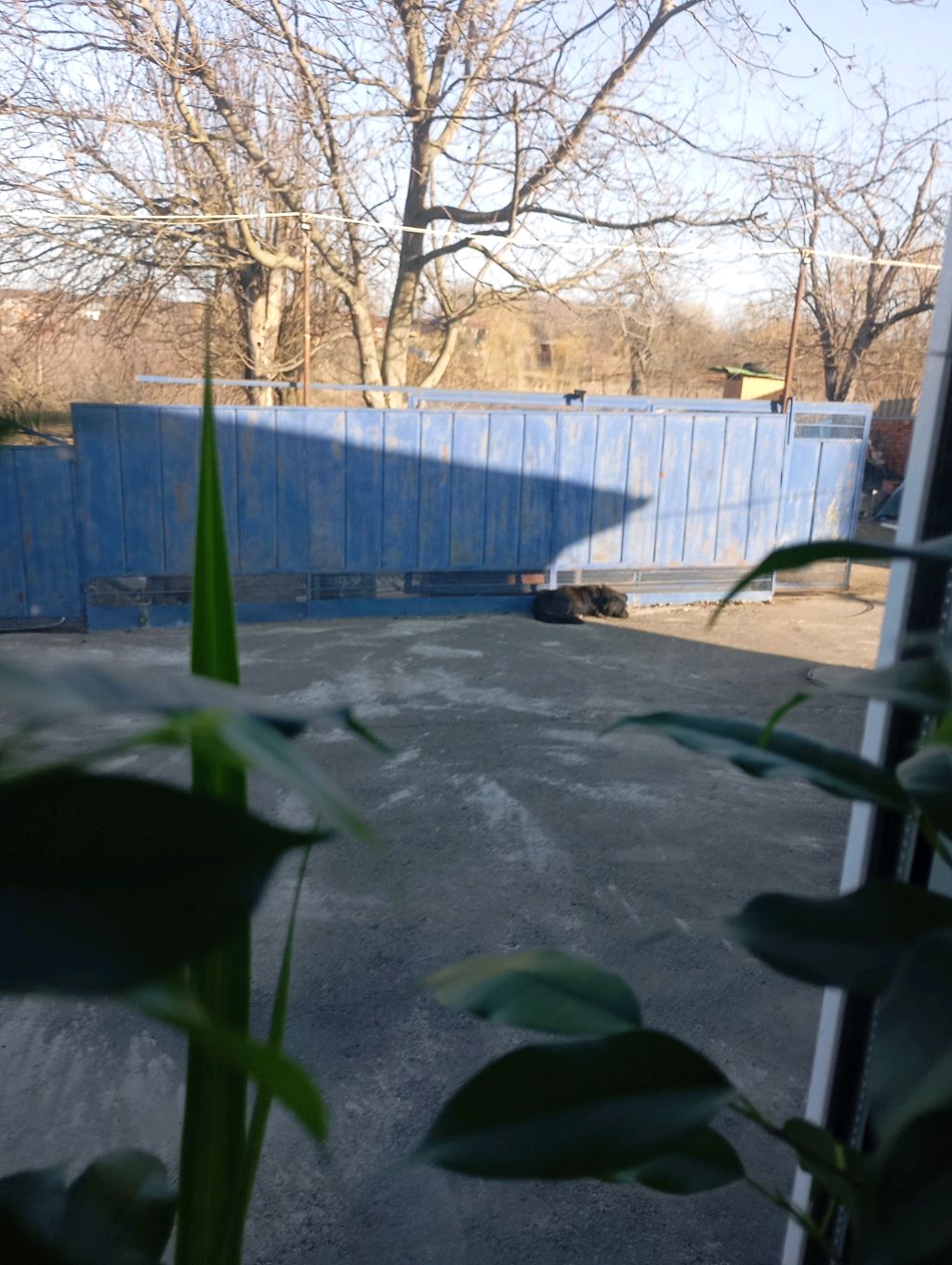 п смотреть онлайн