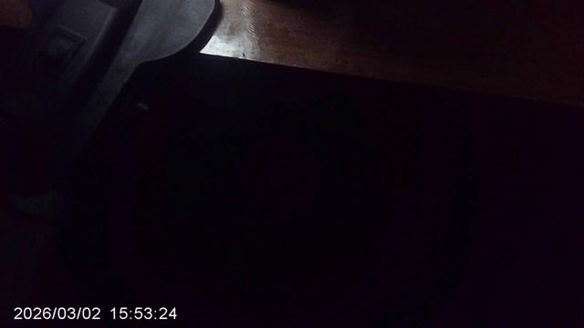 Обзор подросших томатов сорта "Оля" 2 марта 2026