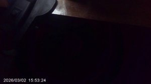 Обзор подросших томатов сорта "Оля" 2 марта 2026