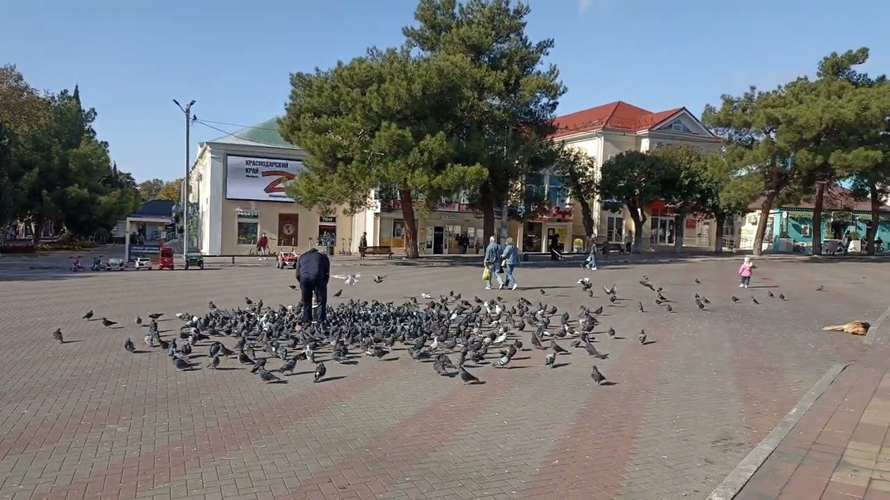 Геленджик 22 Октября 2024 года