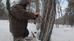 Охота на соболя) Проверка Капканов)