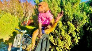 КЛАСС! Влад увешанный гамадрилами отправляется на прогулку! Люська -ПРОСТО ЧЕЛОВЕК )))