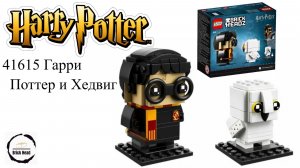 Lego 41615  Гарри Поттер и Хедвиг