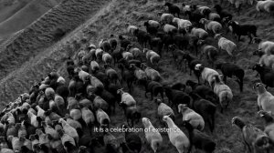 company euroluce spot_sub eng