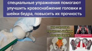 Гребень таза - основа здоровья тазобедренных суставов, шеи и ягодиц. Упражнения