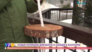 Новые интерьеры для белок и зайцев в Ленинградском зоопарке