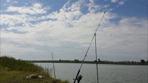 РЫБАЛКА НА КАРАСЯ ,ОЗ ЖЕЛОЕ