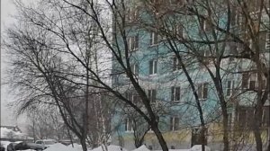 Почему я не кормлю бездомных животных