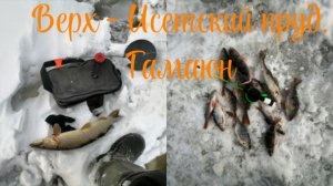 Верх - Исетский пруд. Гамаюн. На жерлицу клюнул трофей! Ловля на безнасадку